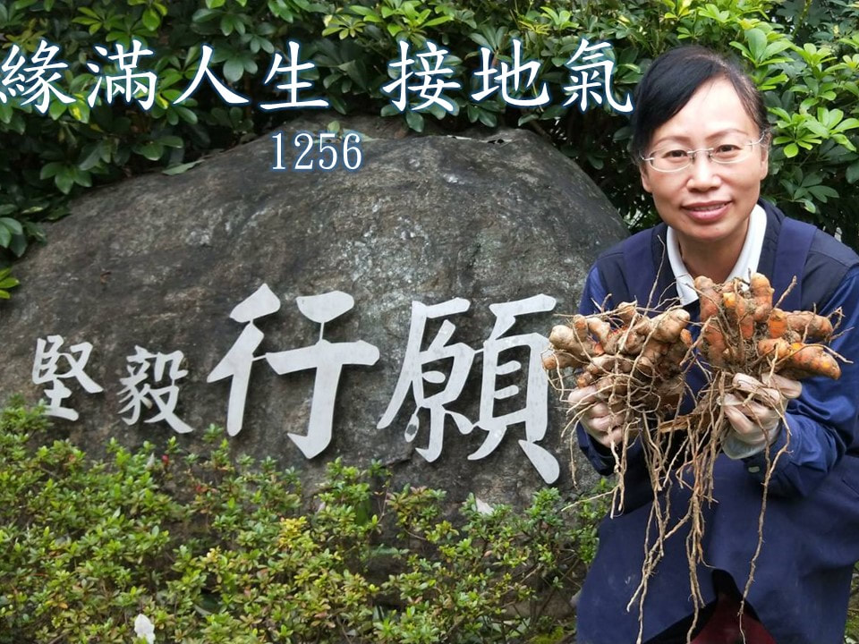 進階共修–圓滿人生接地氣,以佛眼看世界–20190421