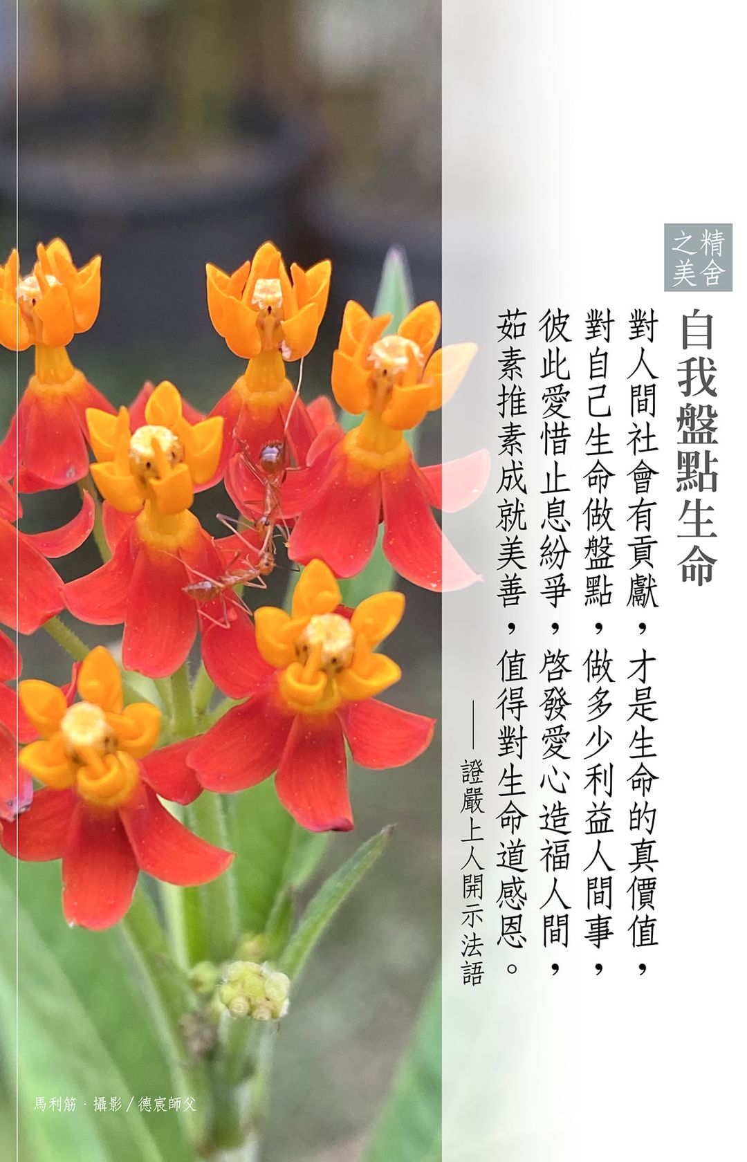 盤點生命手冊說明會–20220902